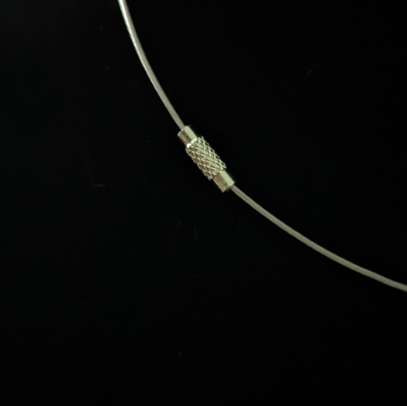 Abalone Necklace - Picture 3 of 3